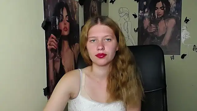 StellaCRL webcam