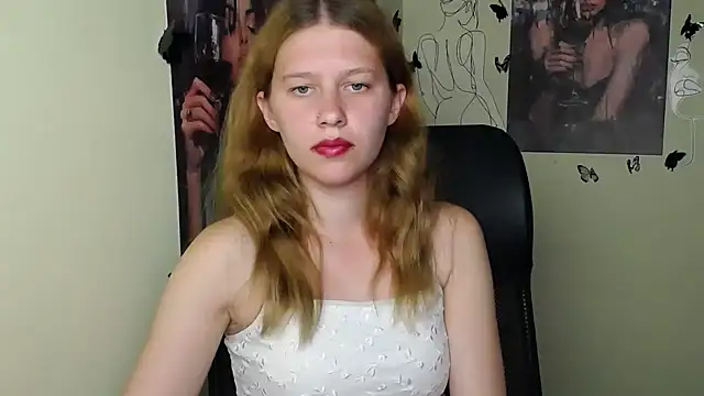 StellaCRL webcam