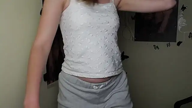 StellaCRL webcam