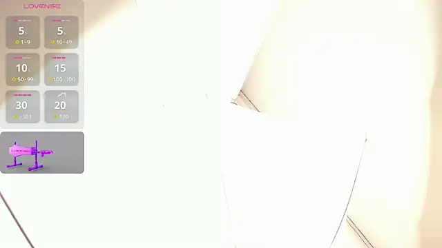 Liastarkk webcam