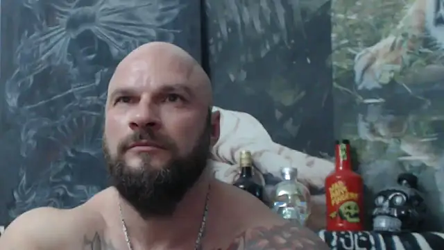 viking_30 webcam