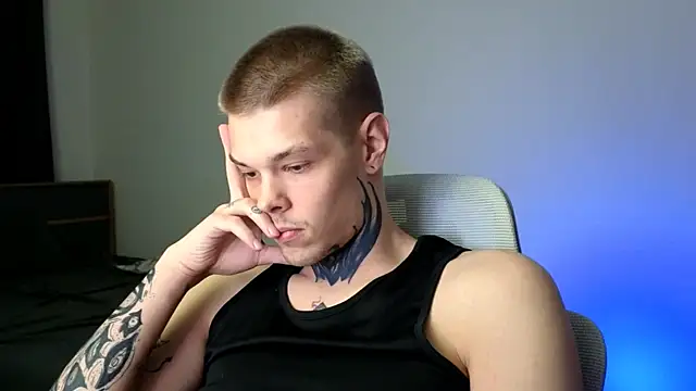 DENIS_HERE webcam