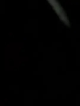 bambi_lu