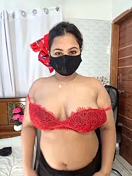 Bristy- webcam