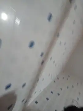 Maymoonx webcam