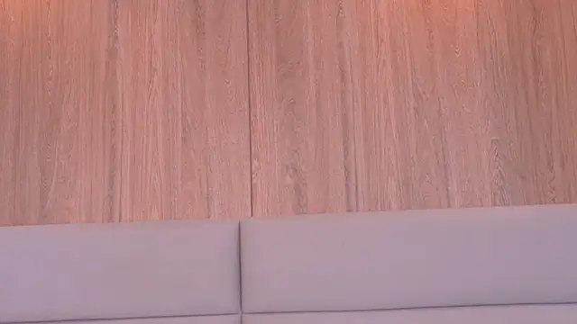ZoehAngel webcam