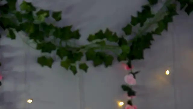 ElisabethDavis live cam