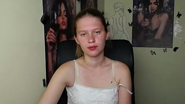 StellaCRL webcam