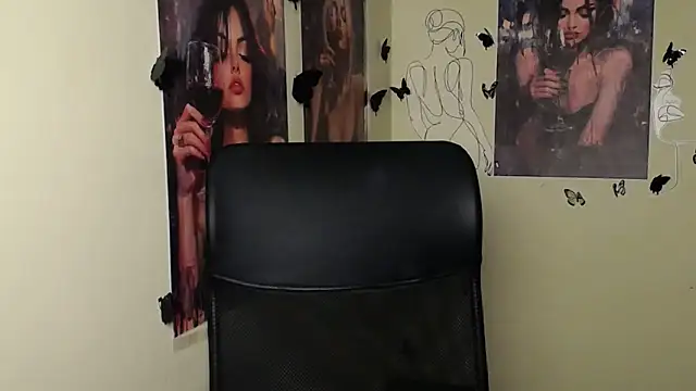 StellaCRL webcam