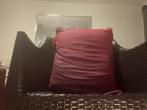 Tyyson03 webcam