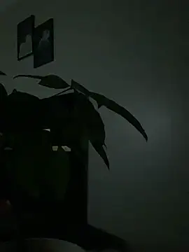 Sis27 webcam