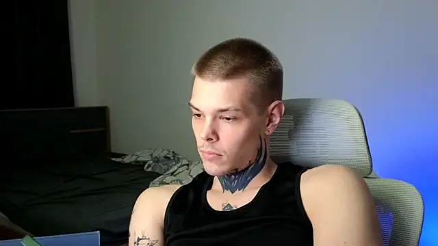 DENIS_HERE webcam