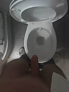 Ynsemr webcam