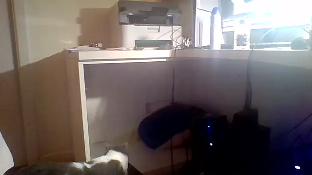 woww791 webcam