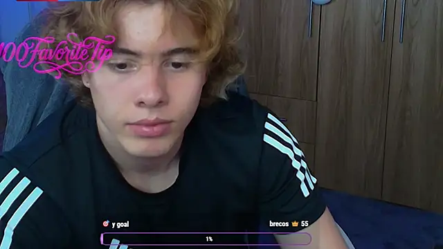 Gemdominus webcam