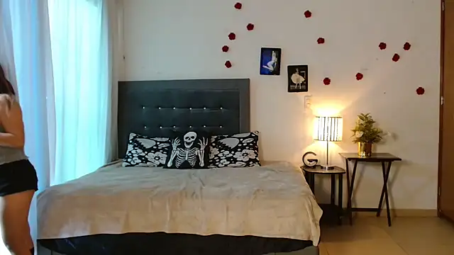 3littles webcam