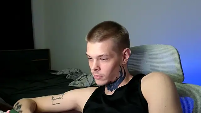 DENIS_HERE webcam