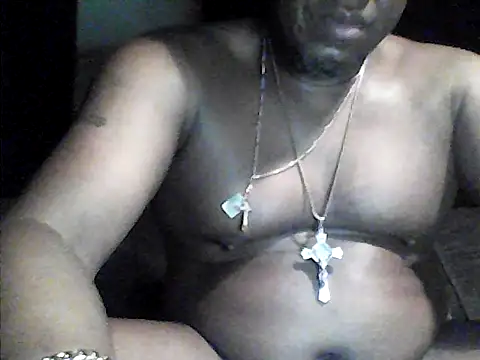 perlados webcam