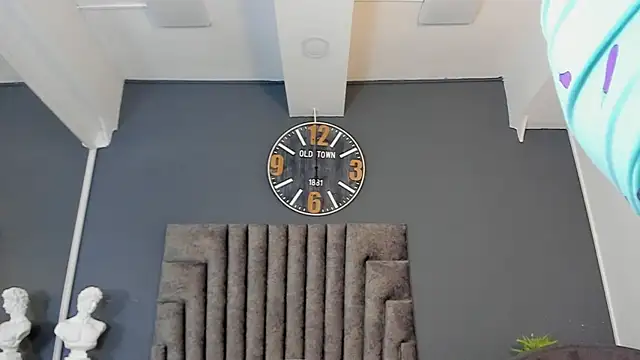 Robin_Rief webcam
