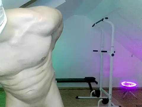 NinjaLaser webcam