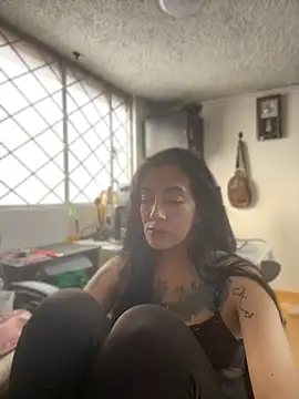 SALOME_KORLAND webcam