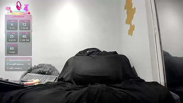 rayfit_90 webcam