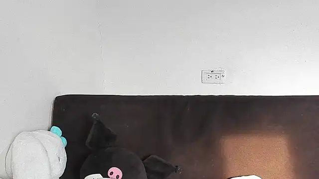 Eirlysx webcam