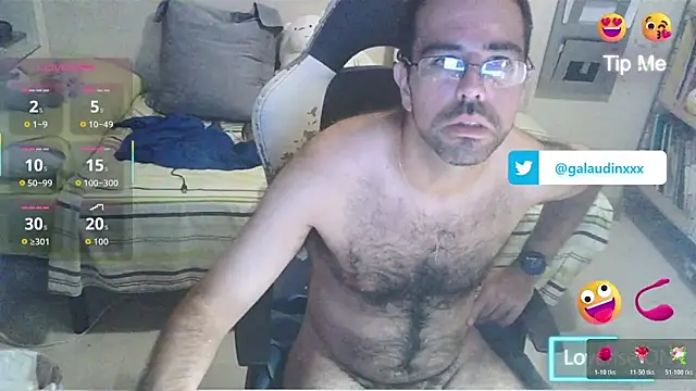 galaudin_3x_ webcam