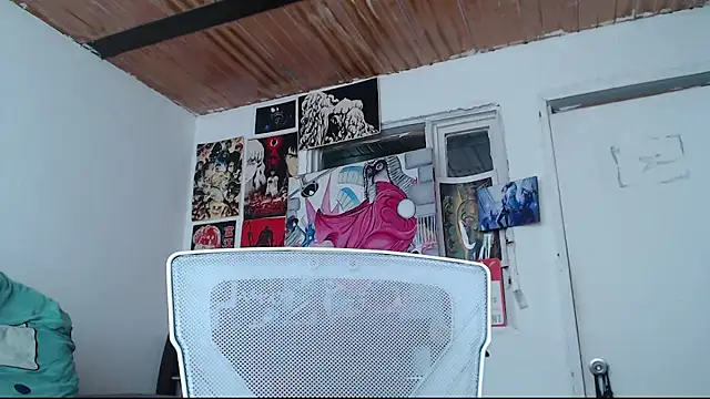 Cortana2_0 webcam