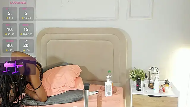 Liastarkk webcam