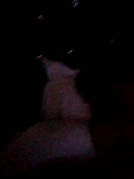 Sarah898 webcam