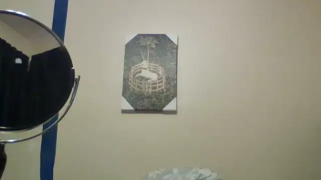 hailzeffn webcam