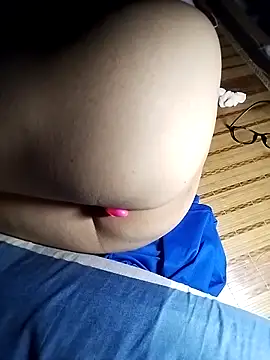 -sansan- webcam