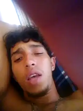 Noscay webcam