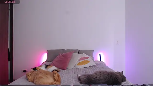 sofix__ webcam
