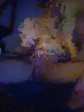 Tantraristo webcam