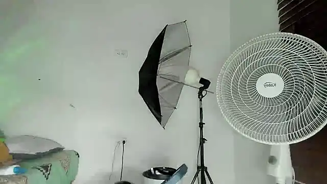 tom_colinn webcam