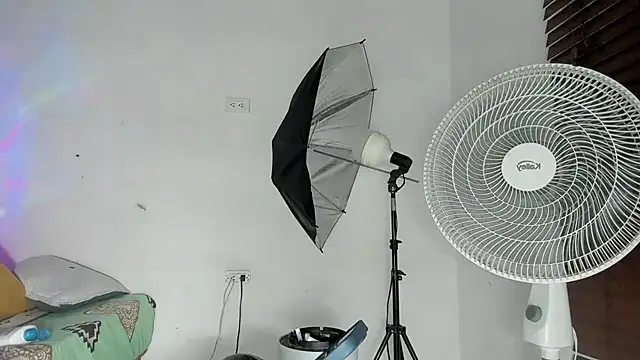 tom_colinn webcam