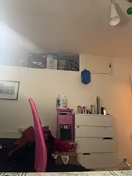ladyturtle