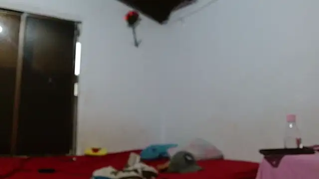 sk8-sir webcam