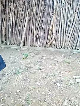 ngockem webcam