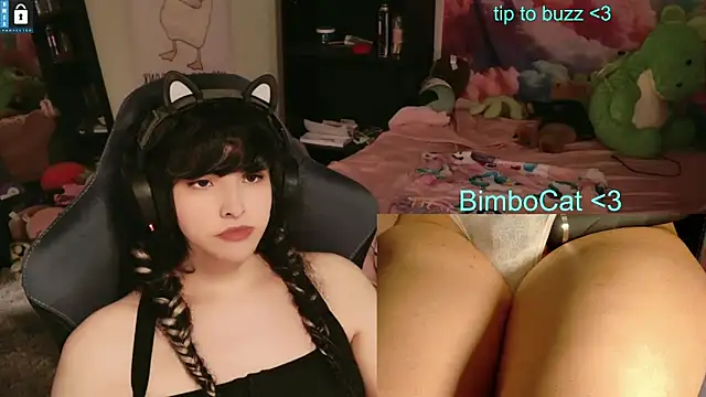 BimboCat webcam