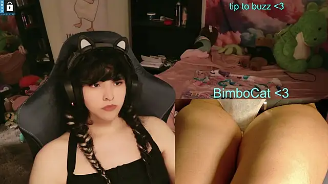 BimboCat webcam