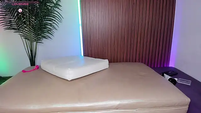 Web_starss webcam