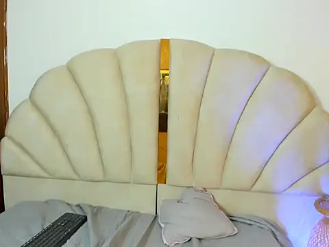Gingerblis webcam