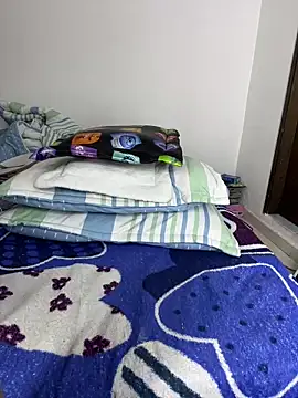 sandylau webcam