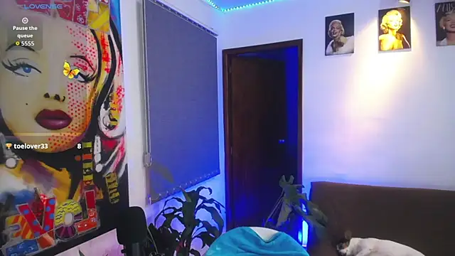 shellsy_hans webcam