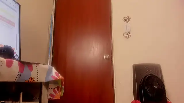 BarbaraFight webcam