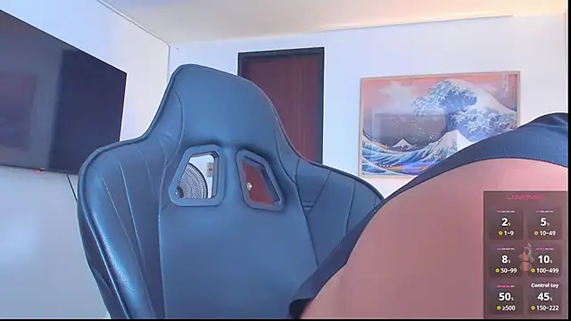 RJBarto webcam