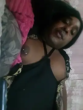 Hellentrans24 webcam